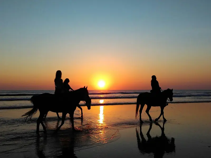 Horse riding on the beach